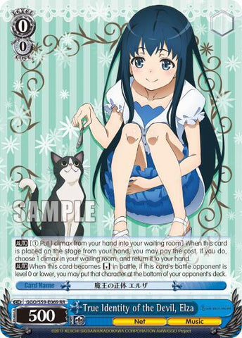 True Identity of the Devil, Elza  - SAO Alternative - Gun Gale Online (GGO/S59)