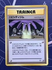 Pewter City Gym (Trainer) [JPN Leaders' Stadium]
