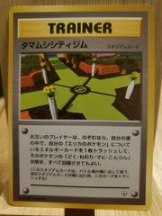 Celadon City Gym (Trainer) [JPN Leaders' Stadium]
