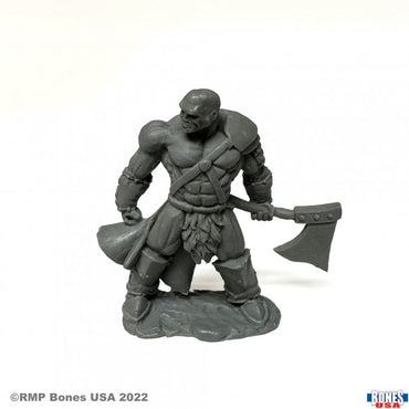 Goldar, Male Barbarian (Reaper Legends)