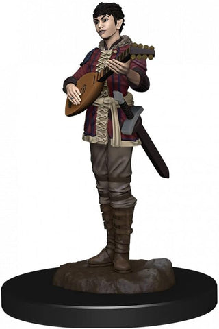 Icons of the Realms: Half-Elf Bard