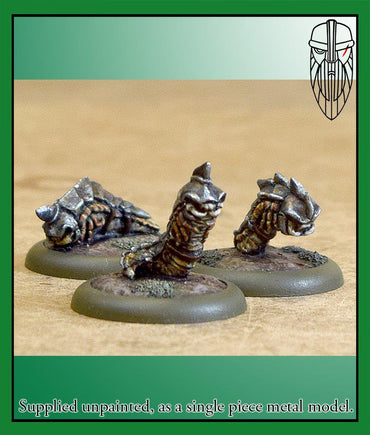 B&B: Armoured Stag Beetle Grubs