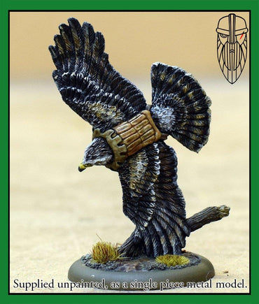 B&B: Hen Harrier Kindred Knight