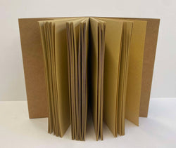 Dragon's Eye Journals