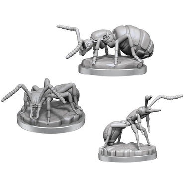 NMM DC: Giant Ants