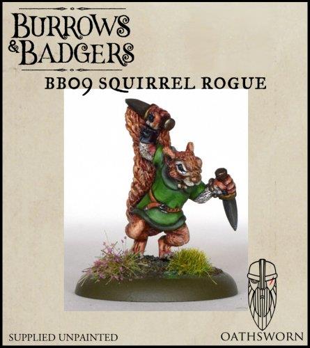 B&B: Squirrel Rogue