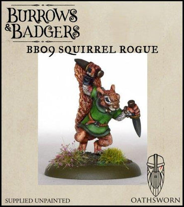 B&B: Squirrel Rogue