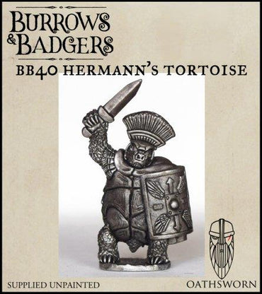 B&B: Brutus Testudo, Hermann's Tortoise
