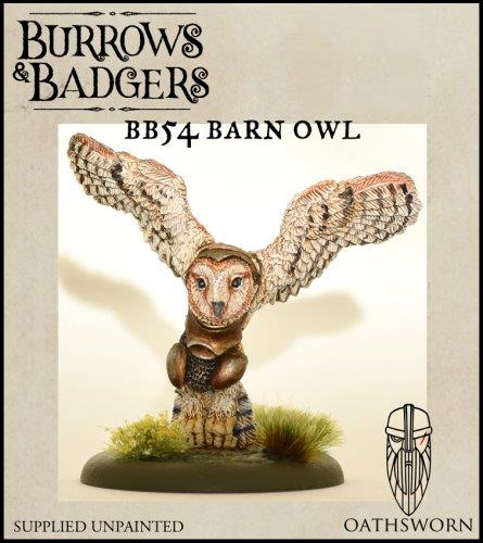 B&B: Barn Owl