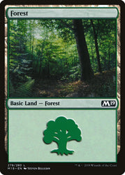 MTG: Basic Lands
