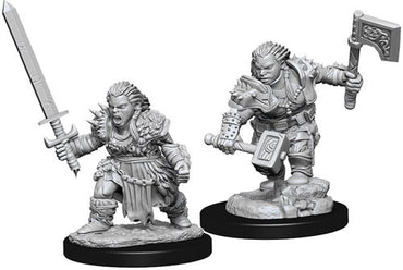 NMM DC: Female Dwarf Barbarian