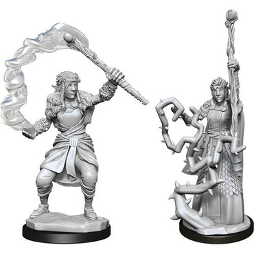 NMM DC: Female Firbolg Druid