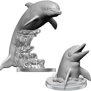 NMM: Dolphins