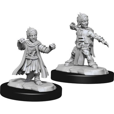 NMM DC: Male Halfling Monk